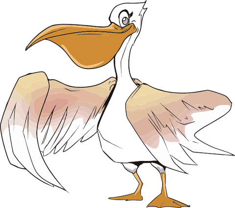 Polly the Pelican
