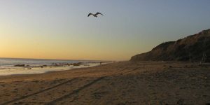 Crystal Cove Beach 