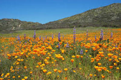 Murrieta, Riverside County CA