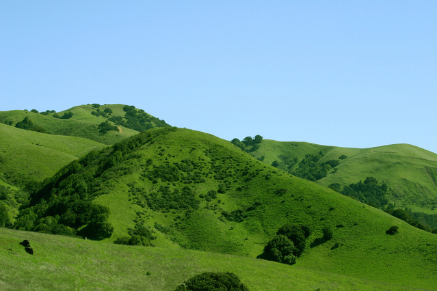 Windsor, Sonoma County CA