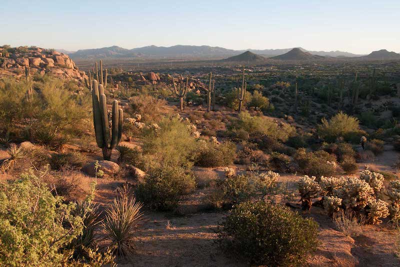 Scottsdale Arizona