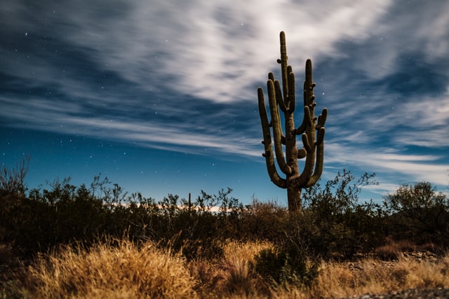 Gilbert Arizona