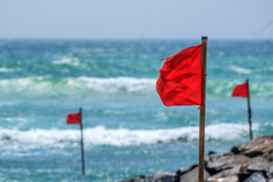 Beach Flags and Water Safety 