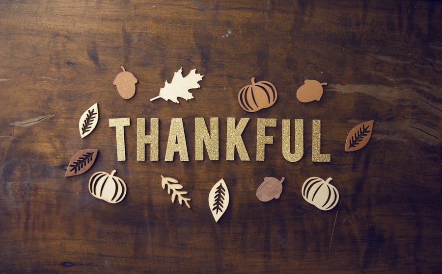 Thanksgiving Week!